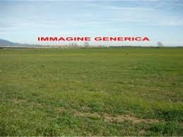 casale in vendita a Cascina in zona Casciavola