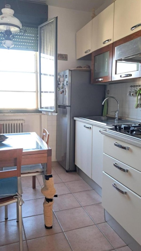 appartamento in vendita a Cascina in zona Navacchio