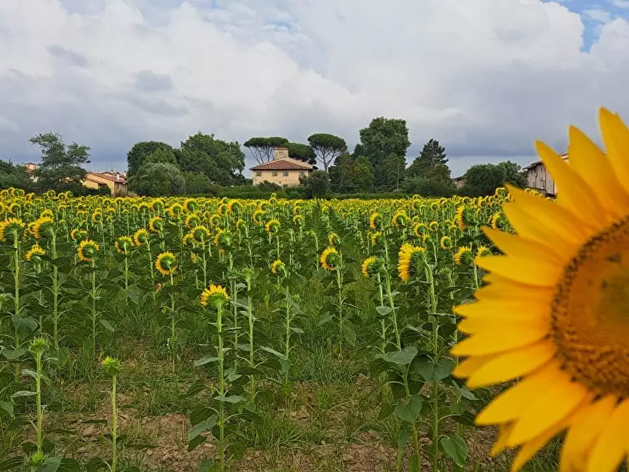 casale in vendita a Cascina