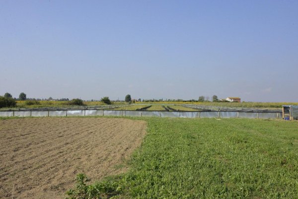 casale in vendita a Cascina in zona San Giorgio