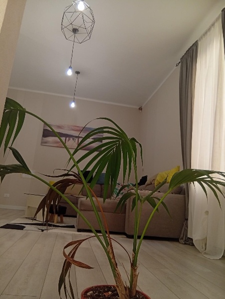 casa indipendente in vendita a Cascina
