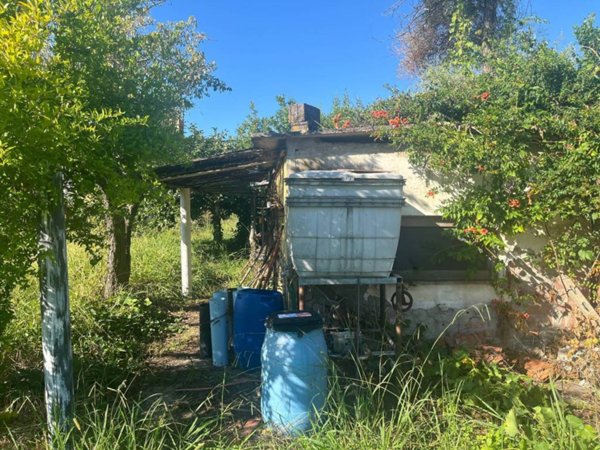 terreno agricolo in vendita a Cascina in zona Visignano