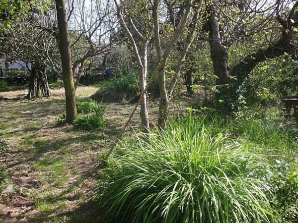 casa indipendente in vendita a Cascina in zona San Lorenzo alle Corti
