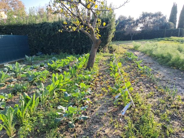 casa indipendente in vendita a Cascina in zona Navacchio