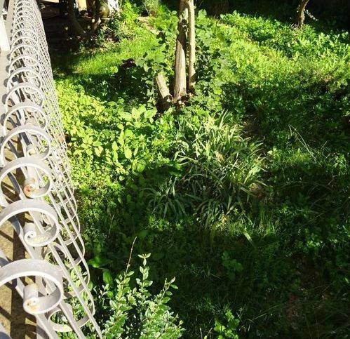 casa indipendente in vendita a Cascina