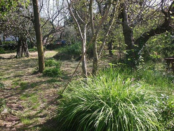 casa indipendente in vendita a Cascina in zona San Lorenzo alle Corti