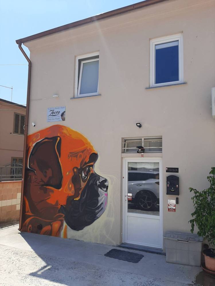 appartamento in vendita a Cascina in zona Navacchio