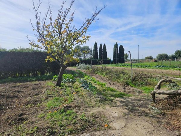 casale in vendita a Cascina in zona Navacchio