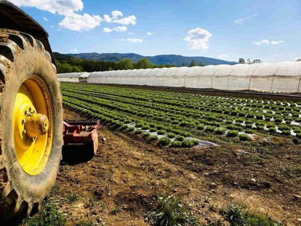 casale in vendita a Cascina