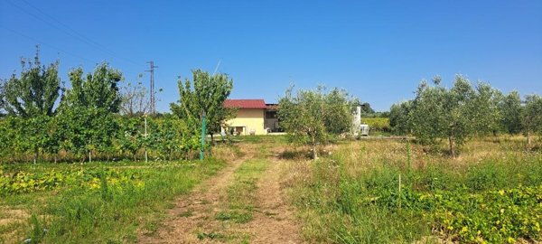 casale in vendita a Cascina