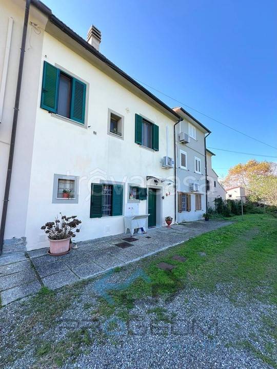 casa indipendente in vendita a Cascina in zona Musigliano