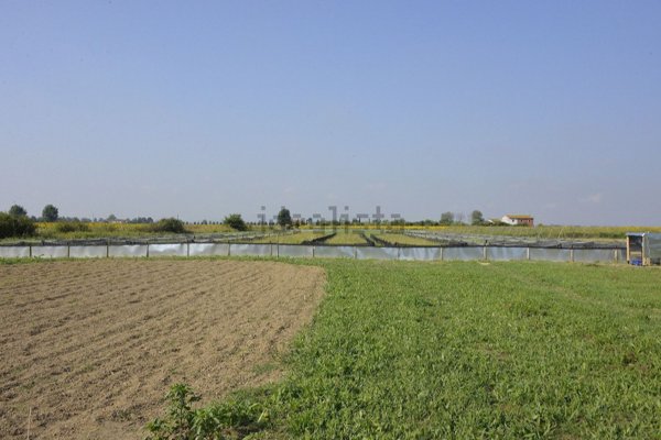 casale in vendita a Cascina in zona San Giorgio