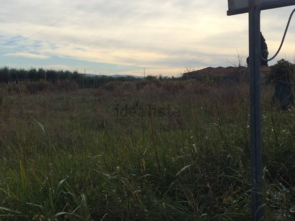 casale in vendita a Cascina in zona Navacchio