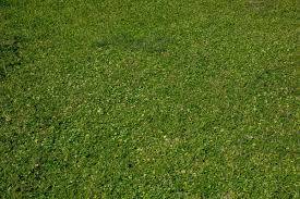 casale in vendita a Cascina