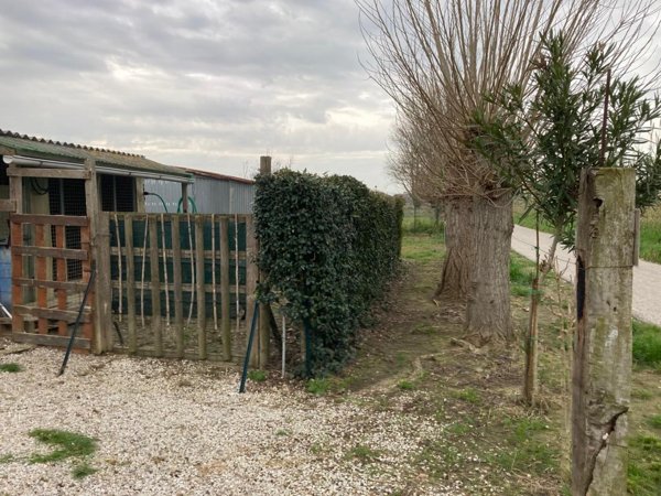 casale in vendita a Cascina in zona San Lorenzo alle Corti