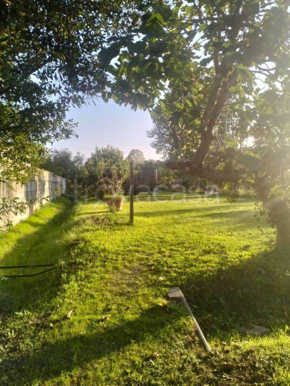 casa indipendente in vendita a Cascina in zona Navacchio