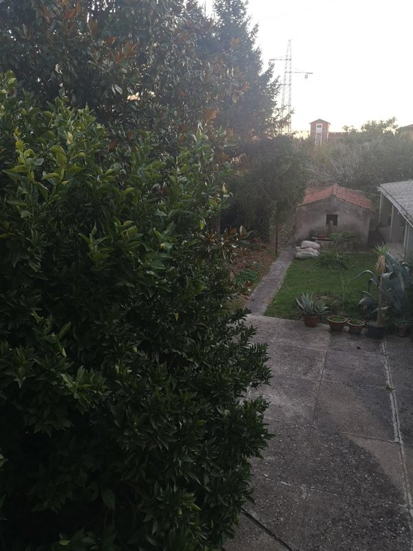 casa indipendente in vendita a Cascina