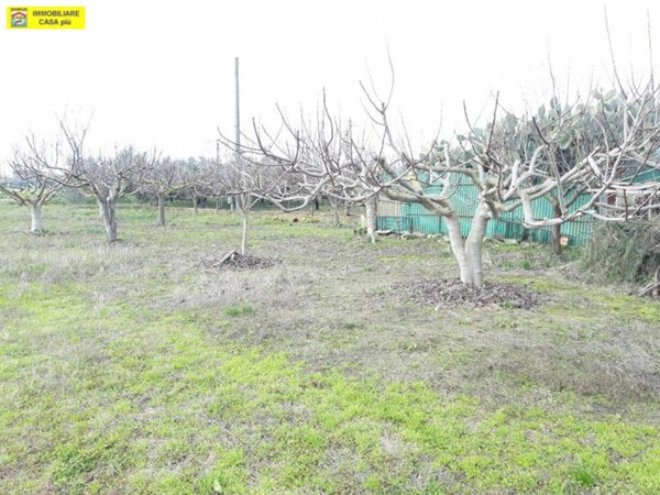 casale in vendita a Cascina