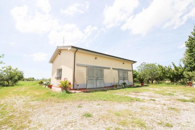 terreno agricolo in vendita a Cascina in zona Titignano