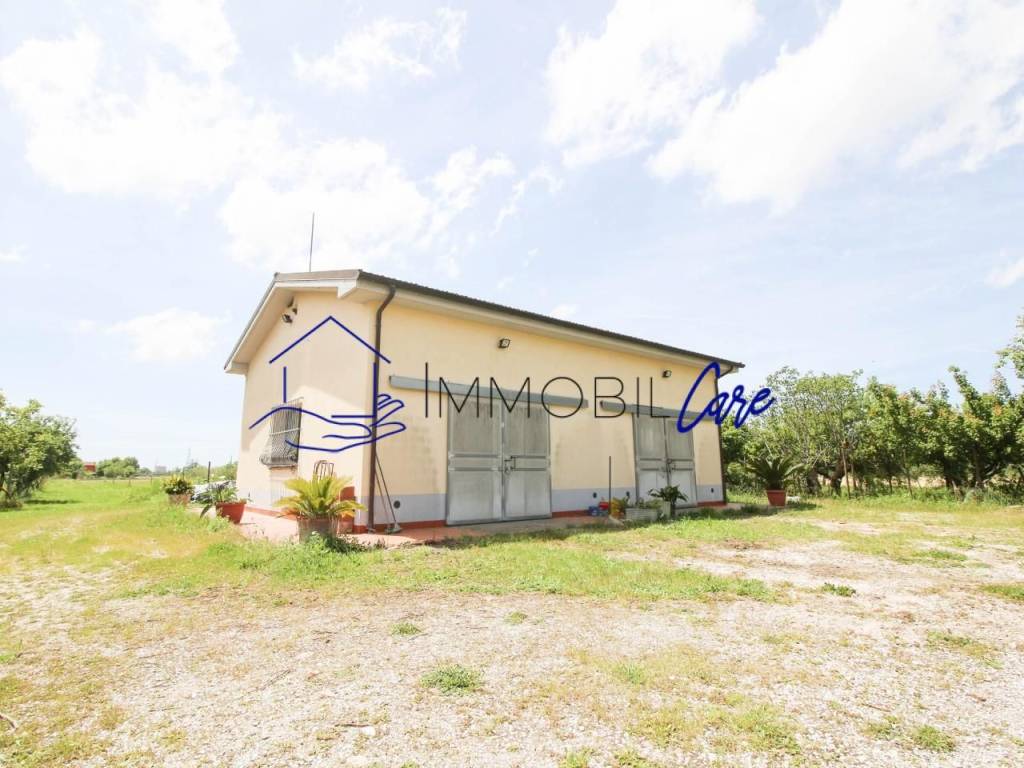 terreno agricolo in vendita a Cascina in zona Titignano