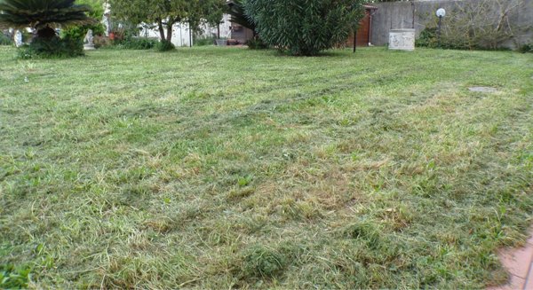 casa indipendente in vendita a Cascina in zona San Frediano a Settimo