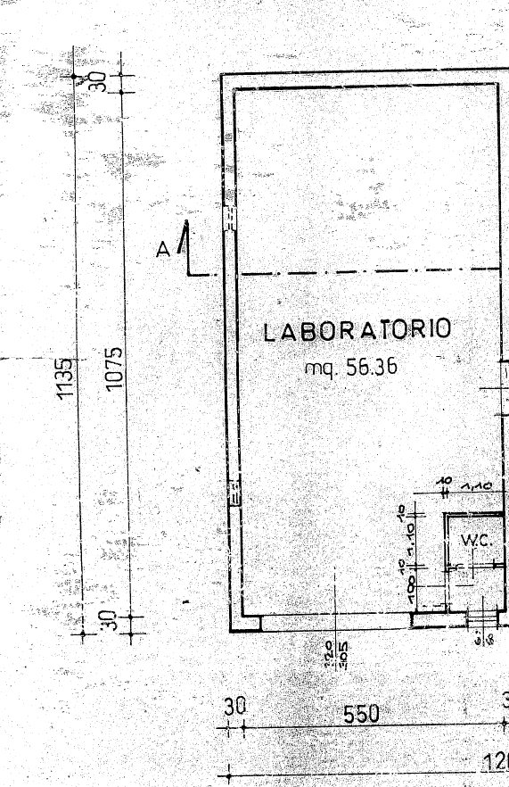 casale in vendita a Cascina in zona Musigliano