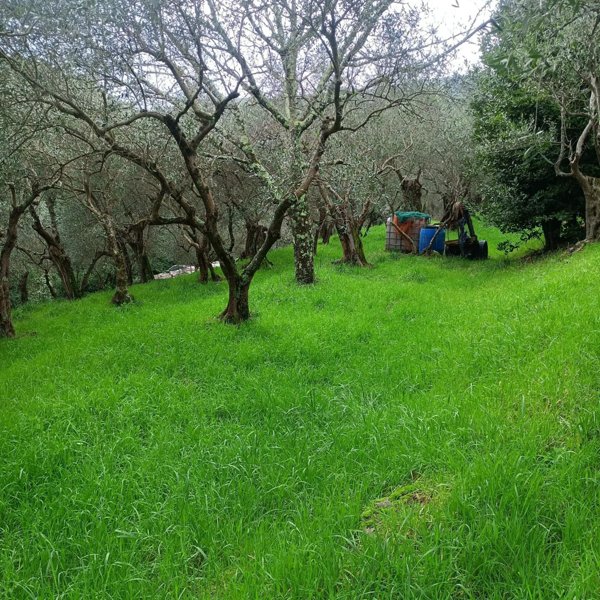 casale in vendita a Cascina