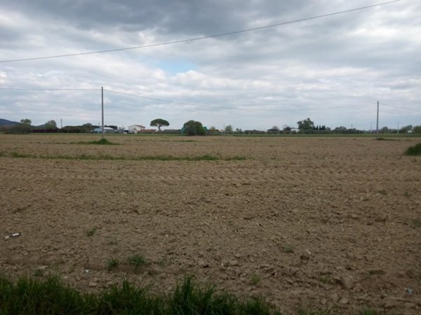 terreno agricolo in vendita a Cascina in zona San Lorenzo a Pagnatico