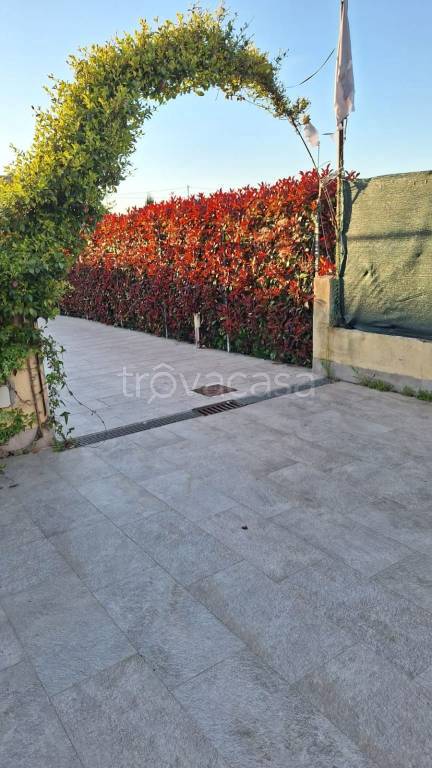 casa indipendente in vendita a Cascina in zona Musigliano