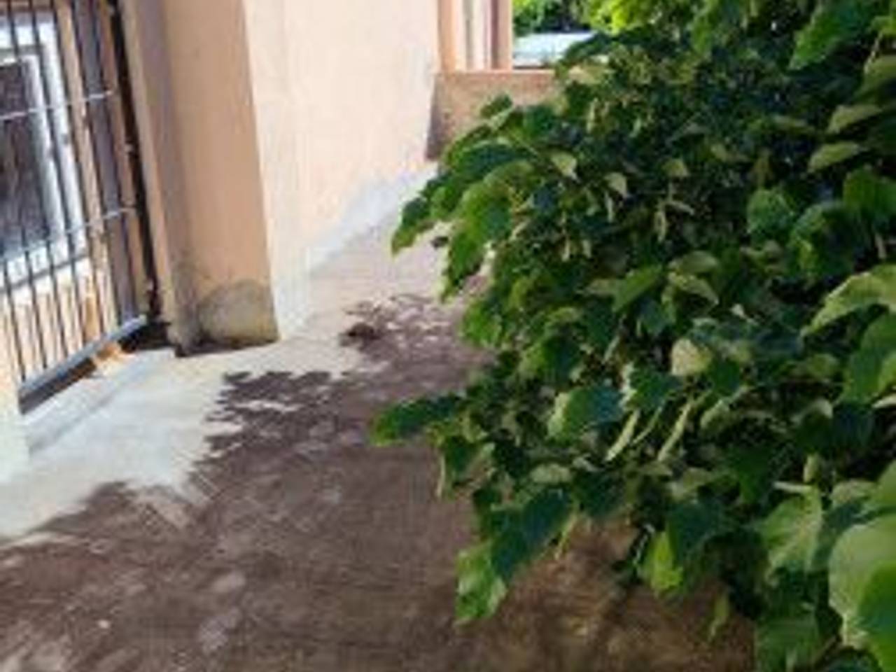 casa indipendente in vendita a Cascina