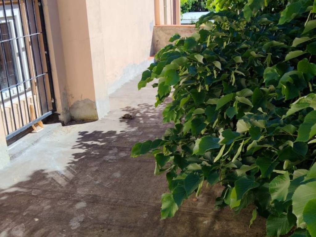 casa indipendente in vendita a Cascina in zona Latignano