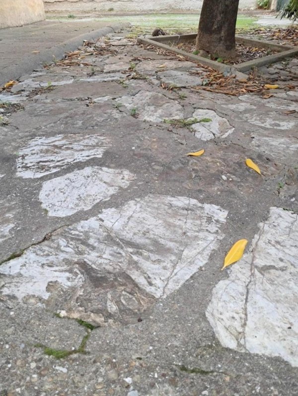 casa indipendente in vendita a Cascina