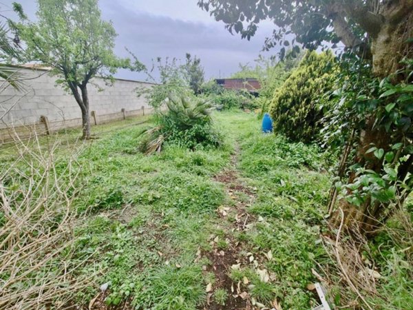 casa indipendente in vendita a Cascina in zona Navacchio