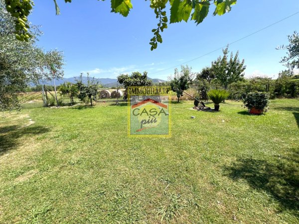 terreno agricolo in vendita a Cascina in zona Navacchio