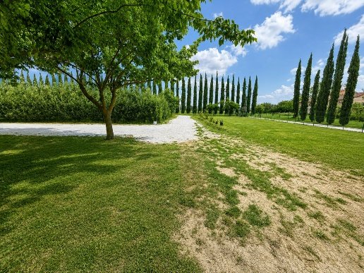 casa indipendente in vendita a Cascina in zona Latignano