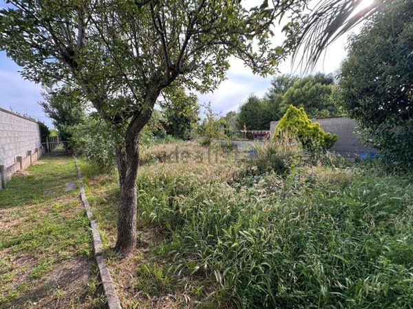 casa indipendente in vendita a Cascina in zona Navacchio
