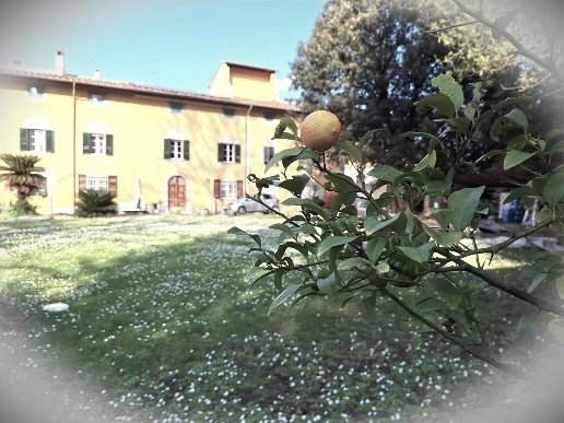 casa indipendente in vendita a Cascina in zona San Casciano