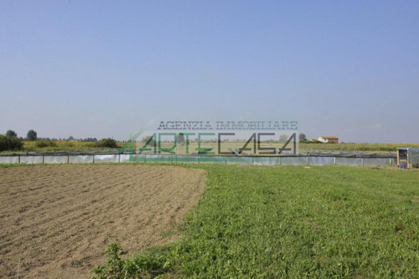 terreno agricolo in vendita a Cascina in zona San Giorgio