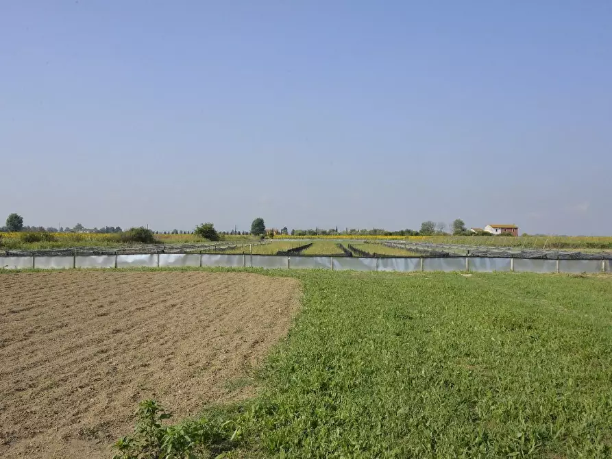 casale in vendita a Cascina