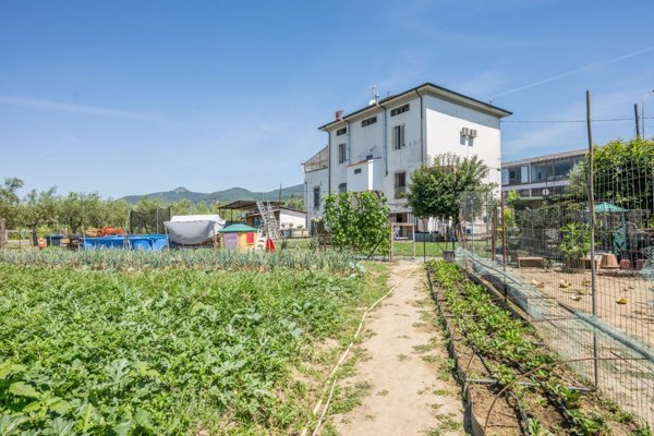 casa indipendente in vendita a Cascina in zona Marciana
