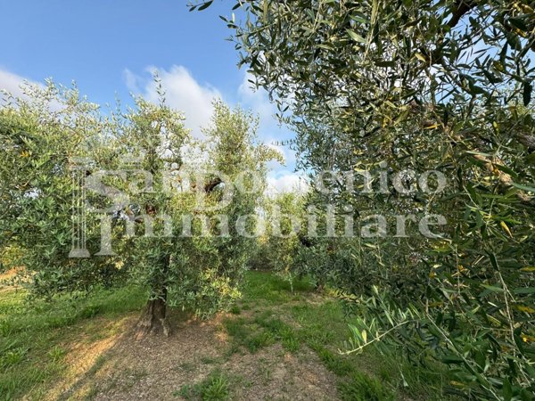 casale in vendita a Cascina in zona Ripoli