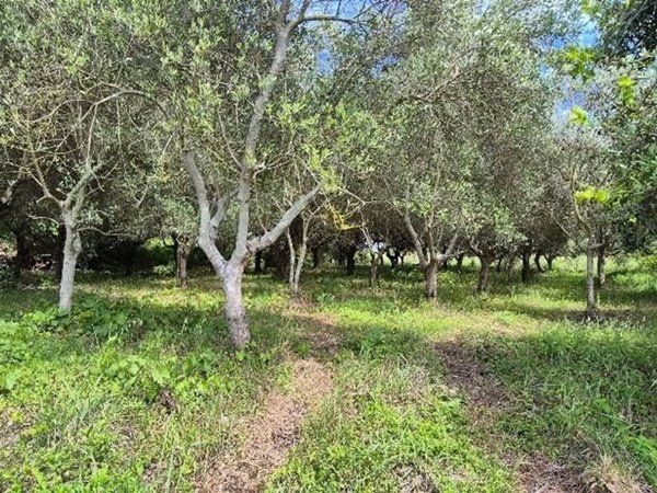 casale in vendita a Cascina in zona Visignano