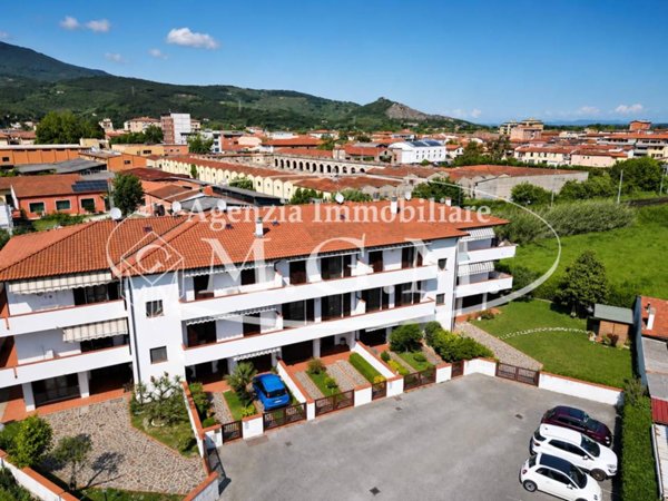 casa indipendente in vendita a Cascina in zona Marciana