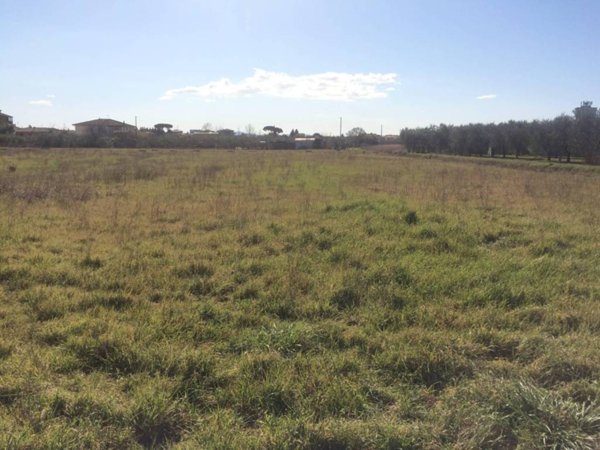 terreno agricolo in vendita a Cascina in zona San Lorenzo alle Corti