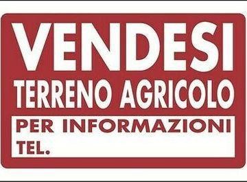 terreno in vendita a Cascina in zona Navacchio