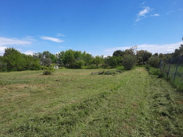 terreno agricolo in vendita a Cascina in zona Latignano