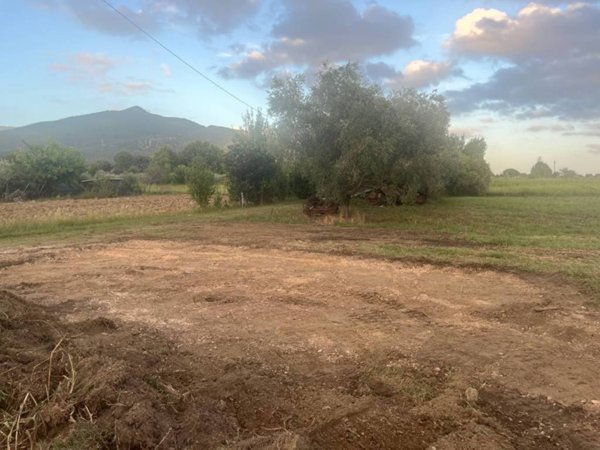 casale in vendita a Cascina in zona Navacchio