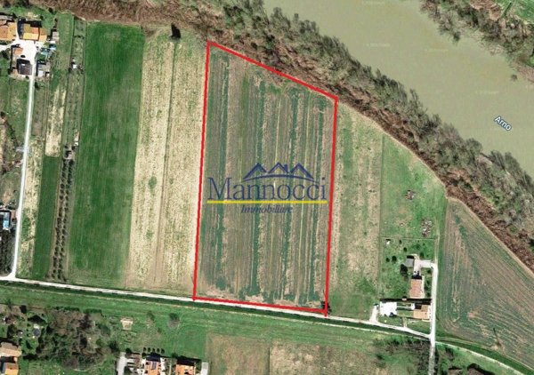 terreno agricolo in vendita a Cascina in zona Marciana
