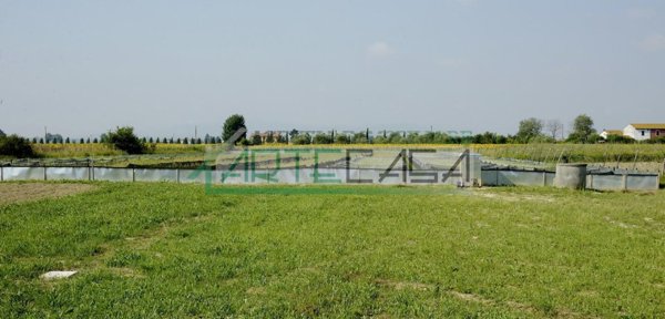terreno agricolo in vendita a Cascina in zona San Giorgio