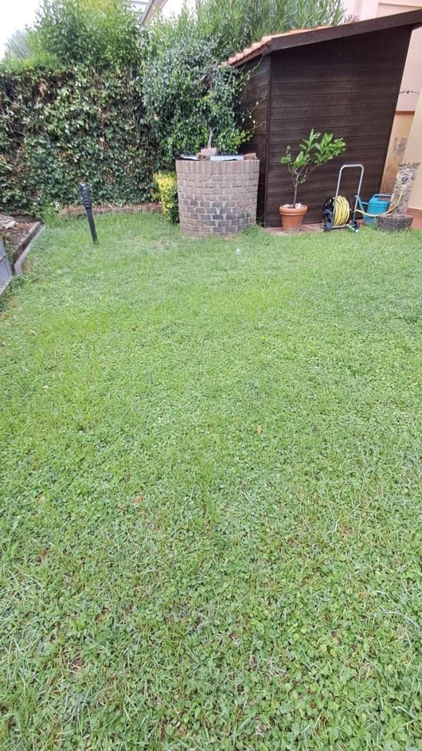 appartamento in vendita a Cascina in zona Marciana